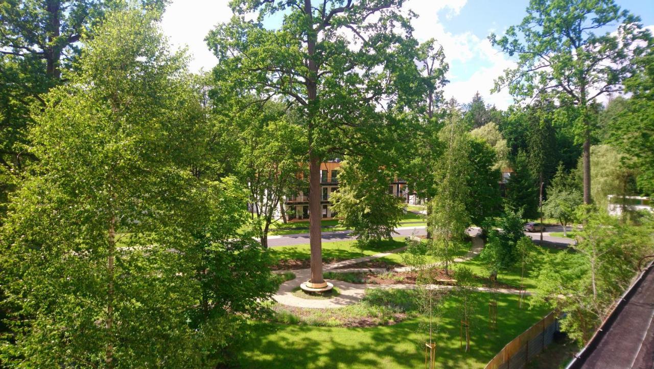 Enklawa Bialowieska Forest & Spa Hajnowka Ngoại thất bức ảnh
